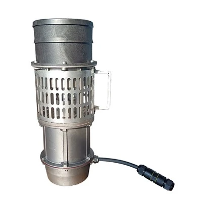 Inverter Deep Well Pump